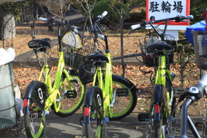 kawagoe-sanpo0009