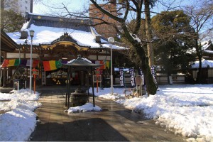 kawagoe-yuki0