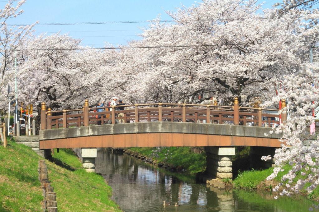 一番の見所。橋風景。