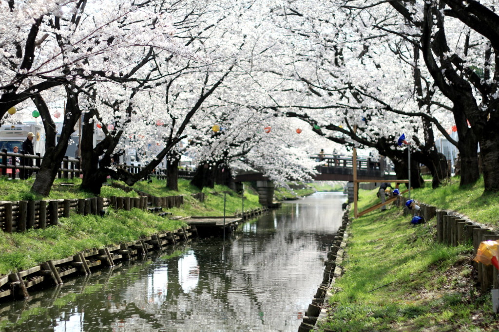 年に一度船遊びが行われます、